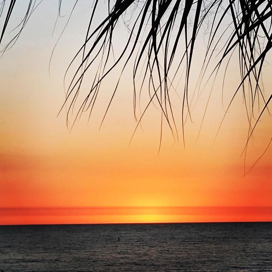 #212 Surf Song Resort St. Pete Beach Kültér fotó